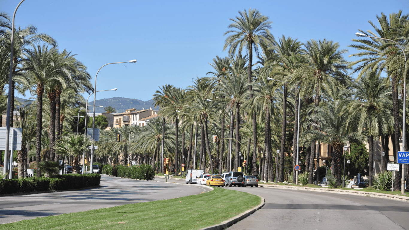Accidente in itinere en Mallorca - donde acudir